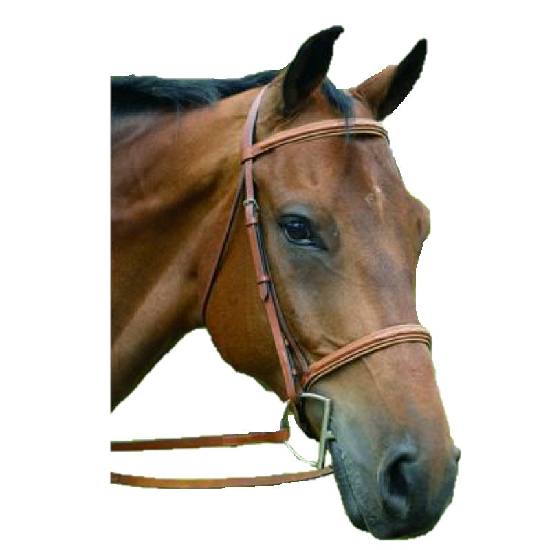 Ensemble Bride Et Rênes D'événement SOMERSET – Cuir Marron – Taille Cheval – Superbe état