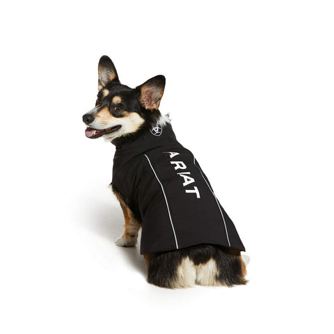 Manteau Ariat pour chien