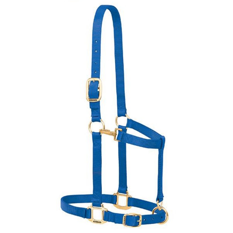 Weaver Leather Licol réglable en Nylon pour Cheval, Taille M, Bleu Marine Weaver Leather Licol réglable en Nylon pour Cheval, Taille M, Bleu Marine