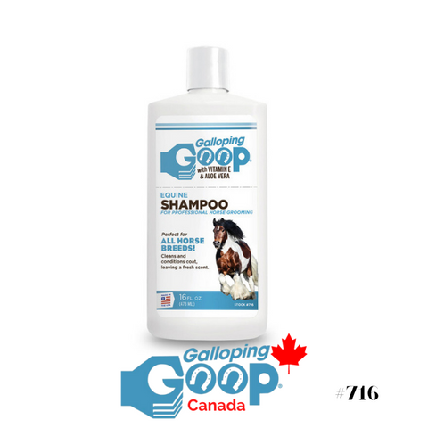 Shampoing Galloping Goop