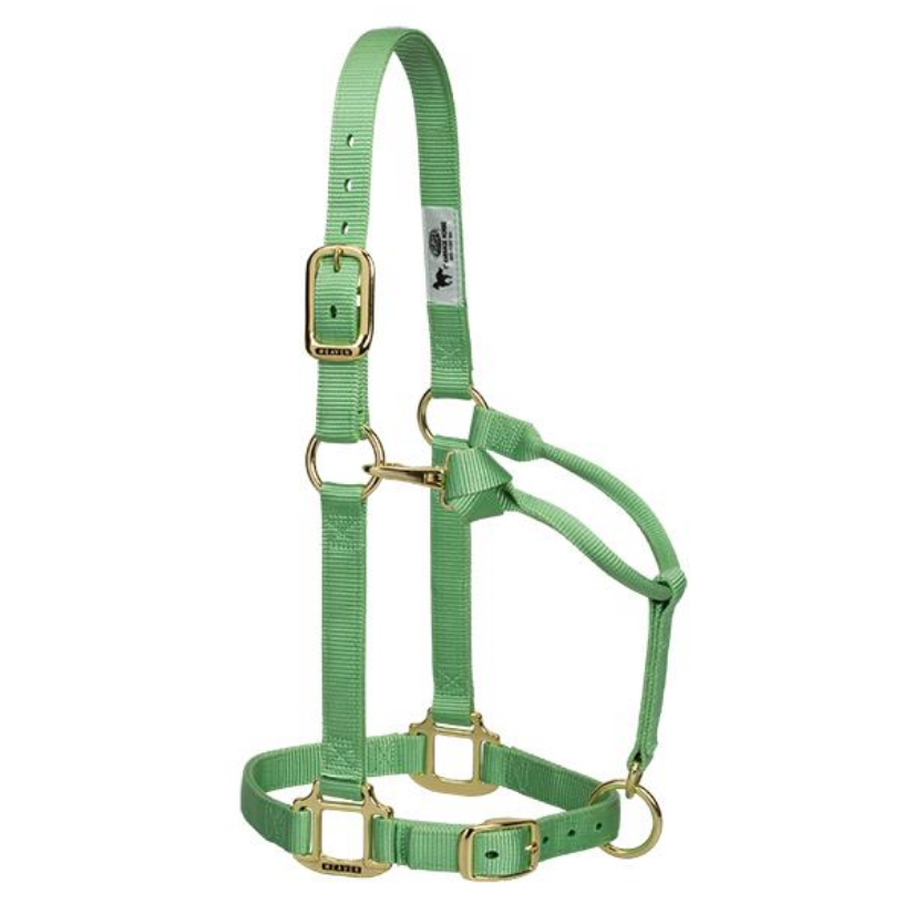 Licol De Retenue Weaver Leather – Nylon Double épaisseur, Chaîne De Cou, Boucles En Nickel – Grande Taille, Robuste – Idéal Pour Concours, Foires, Usage Intensif